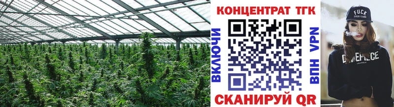 ТГК Wax  хочу   Кашин 