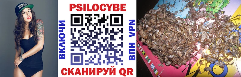 Псилоцибиновые грибы Magic Shrooms  kraken как зайти  Кашин 